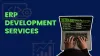 ERP Implementation Service
