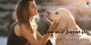pdscenter on Twitter: "Emotional support dogs are considered a good choice if you are depressed or lonely. If you want to get a pet for your mental health situation, then registering an ESA from PDSC will the best choice for you. Visit here https://t.co/tHMRPzm6wV
#EmotionalSupportDog
#ESALetter… https://t.co/Lj4BSEq4Hn"