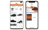 Professional Web Development Company - Deorwine Infotech