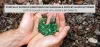 Ethically Sourced Gemstones for Wholesale Jewelry Manufacturers (Little Changes That Will Make a Big Impact)