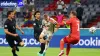 Euro Cup Germany: Intense Clash Against Hungary