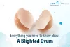 Everything You Need to Know About A Blighted Ovum