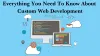 Everything You Need To Know About Custom Web Development