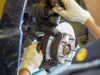 What You Need to Know About Car Repair Software