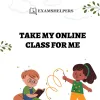 Take My Online Class for Me