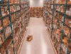 Best Warehouse Management System/Solution Provider in India