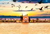 Excursiones desde Marrakech