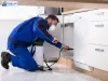 Comprehensive Pest and Termite Control: Ensuring a Safe Home