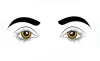 eye care