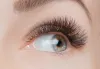 Lash Extension Studio in Redondo Beach
