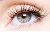 Services – Karas Extensions – Gurugram