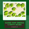 Algae for Omega 3 Fatty Acids — ImgBB