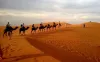Book Taxi, Car &amp; Cab rental services in Jaisalmer at lowest Price 
