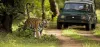 10 Best things to do in Jim Corbett | Corbett The Baagh