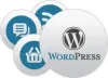 Business News — What are the Skills Required for WordPress...