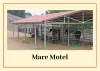 Equine Distress of Horse — Provide Safety to Your Mare in Mare Motel