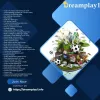 Online Cricket Betting ID in India with Dreamplay1: A Comprehensive Guide – Telegraph