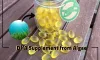 Know the Importance of DHA Supplement from Algae