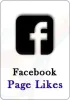 Real & Active Facebook Page Likes