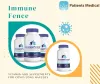 lyme disease treatment