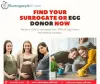surrogacy services in USA