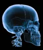 Facial Trauma Treatment and Reconstructive Surgery in Orange County