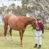 Facing Life’s Challenges with Equine Assisted Learning - HEAL