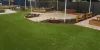 Fake Grass