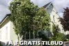 Træfældning Fredericia - Modtag 3 gratis tilbud - Få 3 håndværker tilbud