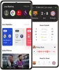 Fantasy Cricket Software Development