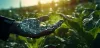 10 Ways Vertical Farming Technology Boosts Crop Yields