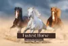 Top 10 Fastest Horse Breeds of The World You Should Know