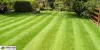Garden clearance Croydon: How to keep your garden clean