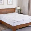 Top 5 Best Feather Mattress Topper Detailed Review And User Guide