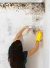 Mold Inspection & Testing Services in Los Angeles