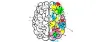 Great Tips to Maintain Mind Fitness | Read full Article