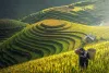 Threeland Travel: A Thrilling Itinerary To The Idyllic Town, Sapa In Vietnam