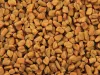 Organic Fenugreek Suppliers, Manufacturers & Exporters