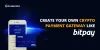 BitPay Clone - Build Your Own Crypto Payment Gateway Like BitPay!