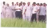 Services | Rising Root- Agriculture consultants
