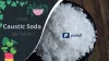Is caustic soda harmful to plants?