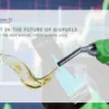 Best Biofuel Stocks In India 2023 