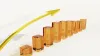 Financial Modeling Consultant &amp; Services for Startups|Small Business