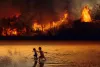 Why More Than 20 Percent Oxygen Provider Habitat Amazon Went Ablaze?