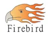 Firebird Pneumatic Tools & Power Tools- Wholesale Distributor