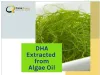 DHA Extracted from Algae Oil