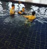 First aid training company in uk