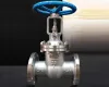 Optimize Your Process with High-Performance Flanged Gate Valve