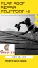 Flat Roof Repair Fruitport MI — ImgBB
