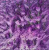 https://www.eranartgallery.com/flora-feizbakhsh